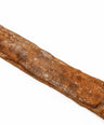 Chapata